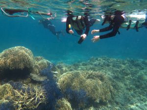 kerama snorkeling spot