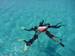 snorkeling image
