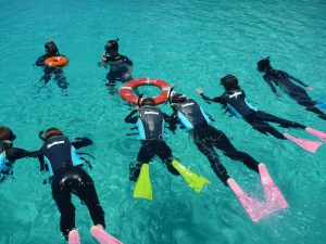 try snorkeling