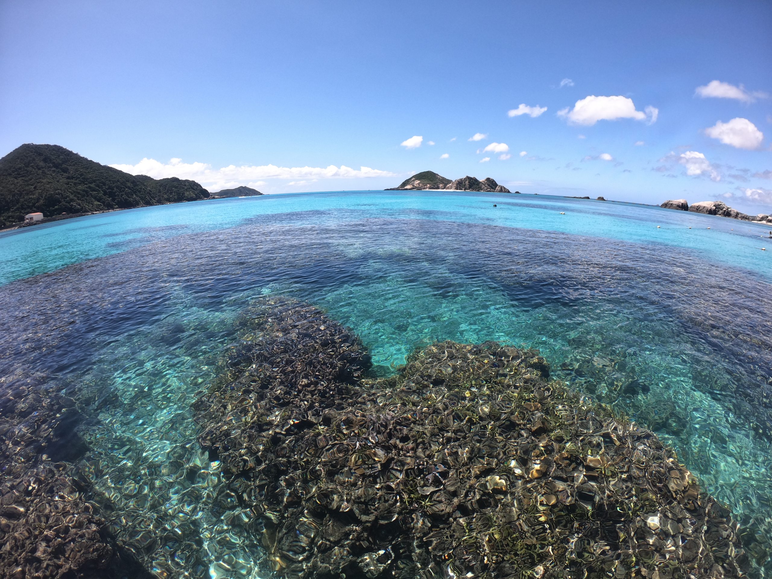 aharen beach coral